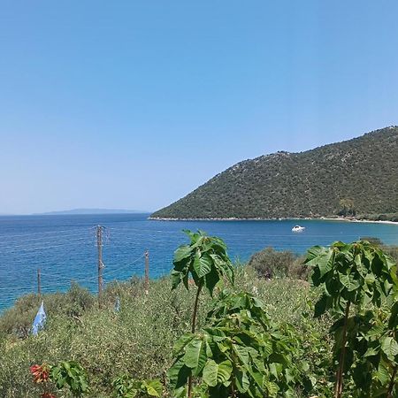 Studios Zaritsi Tirós Exteriör bild
