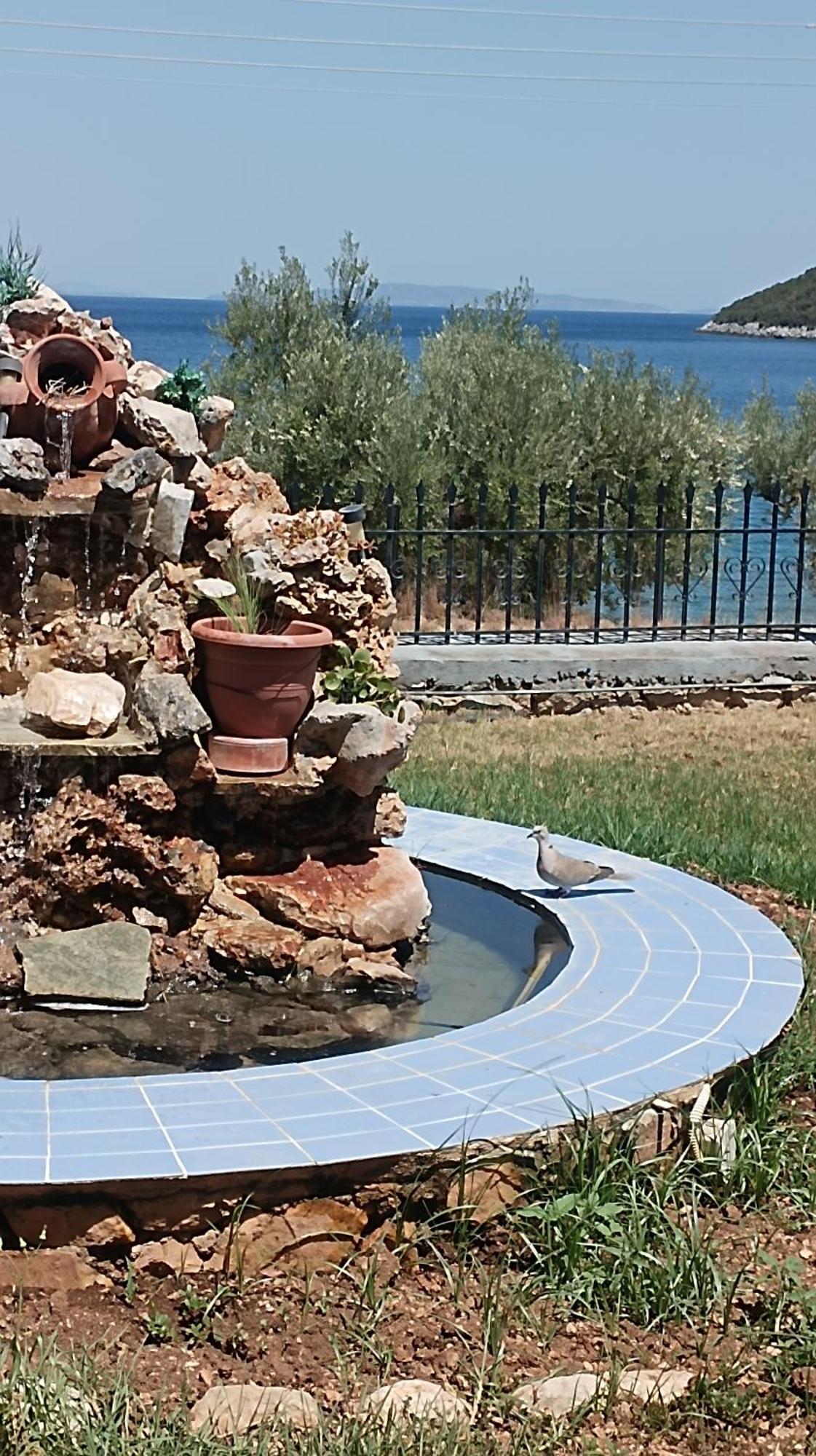 Studios Zaritsi Tirós Exteriör bild