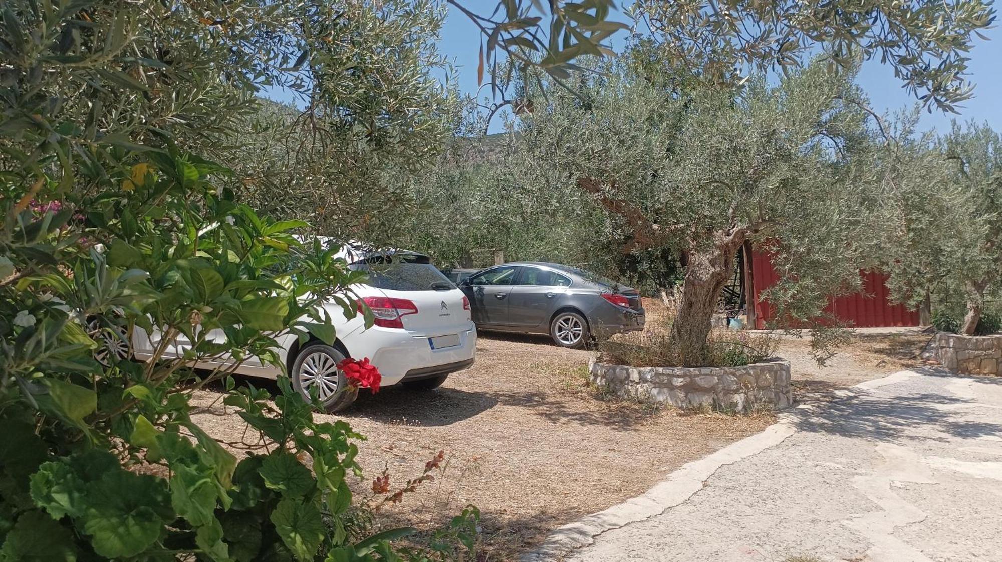 Studios Zaritsi Tirós Exteriör bild
